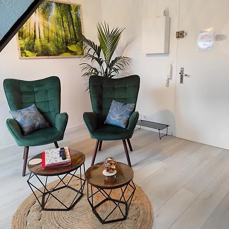 L'obernai Appartement Obernai